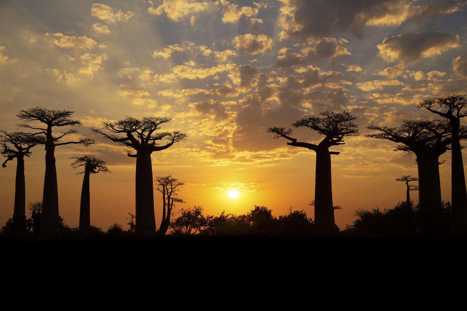 Afrika