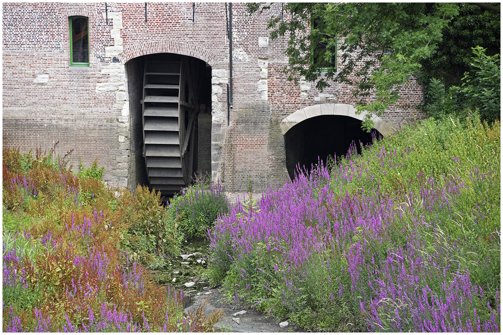 Watermolen 1517-2017