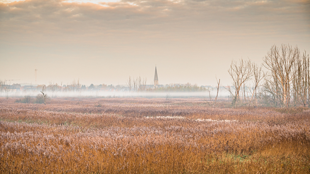 Kruibeke