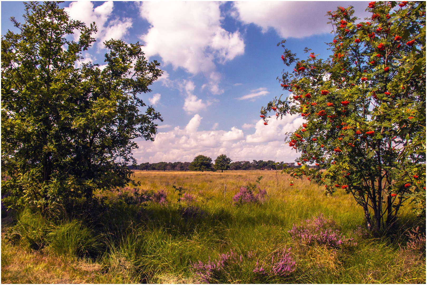 In de stille Kempen