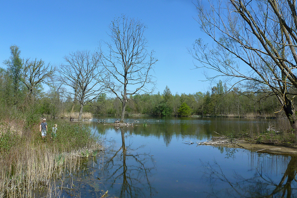 Wandelen