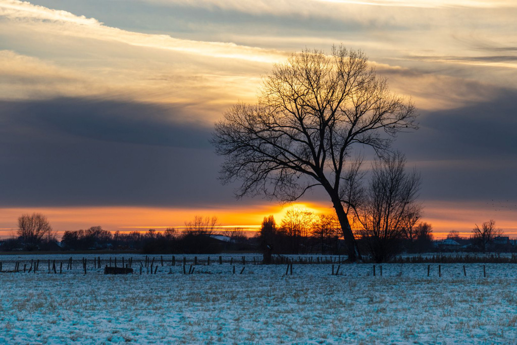 Evening sun