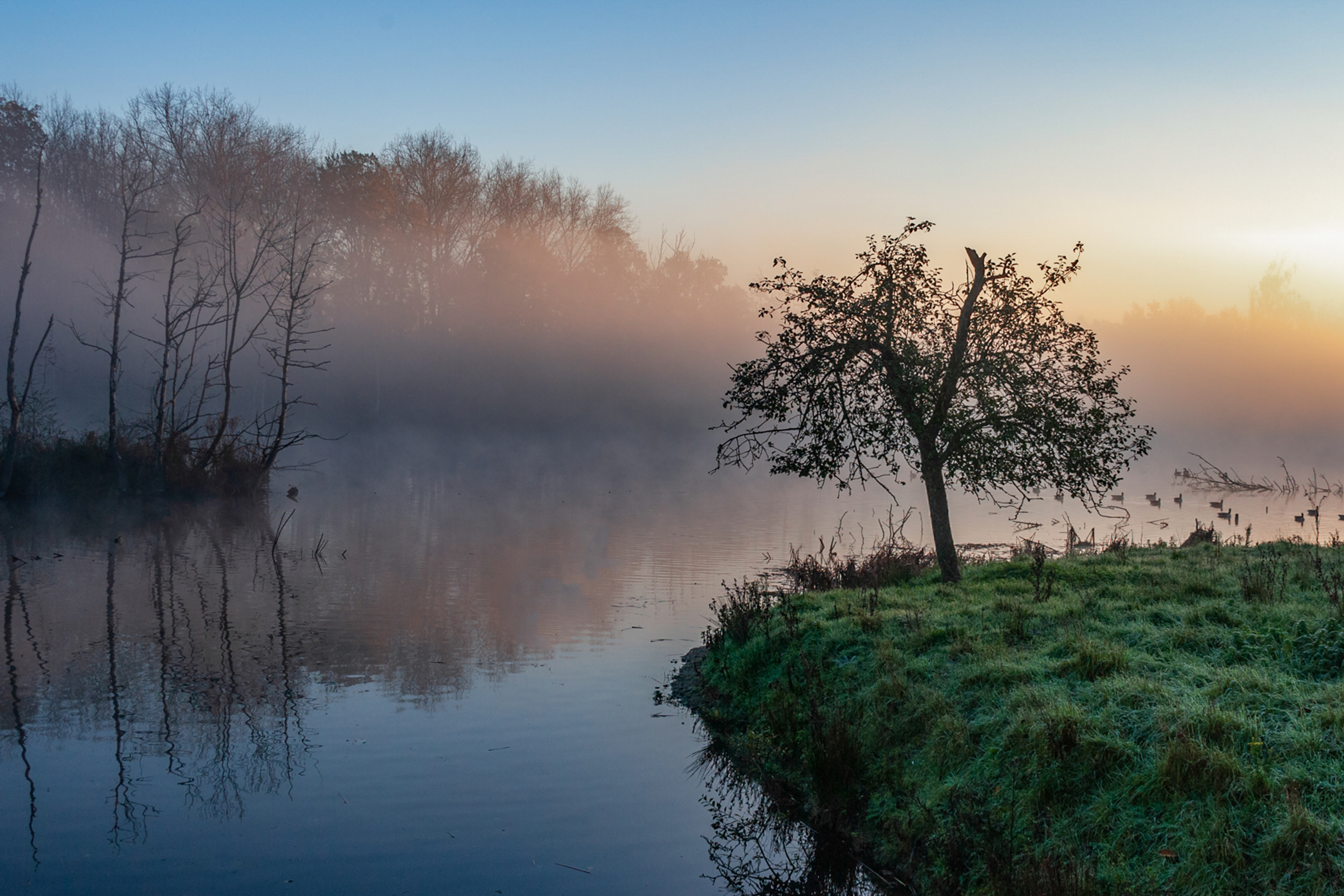 In de vroege ochtend
