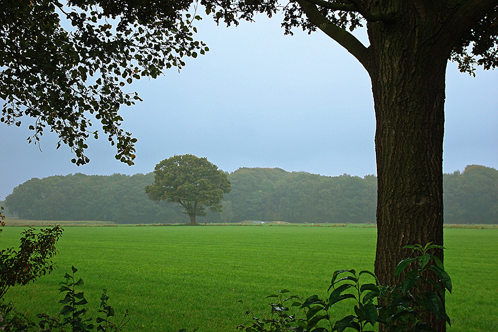 Landschap