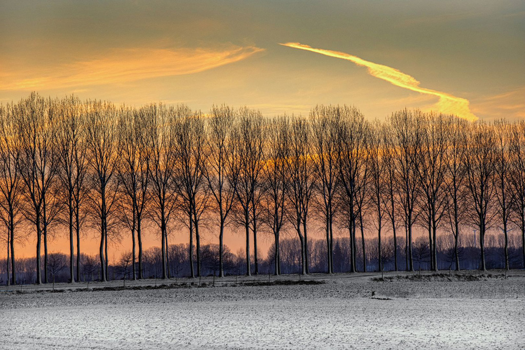evening light