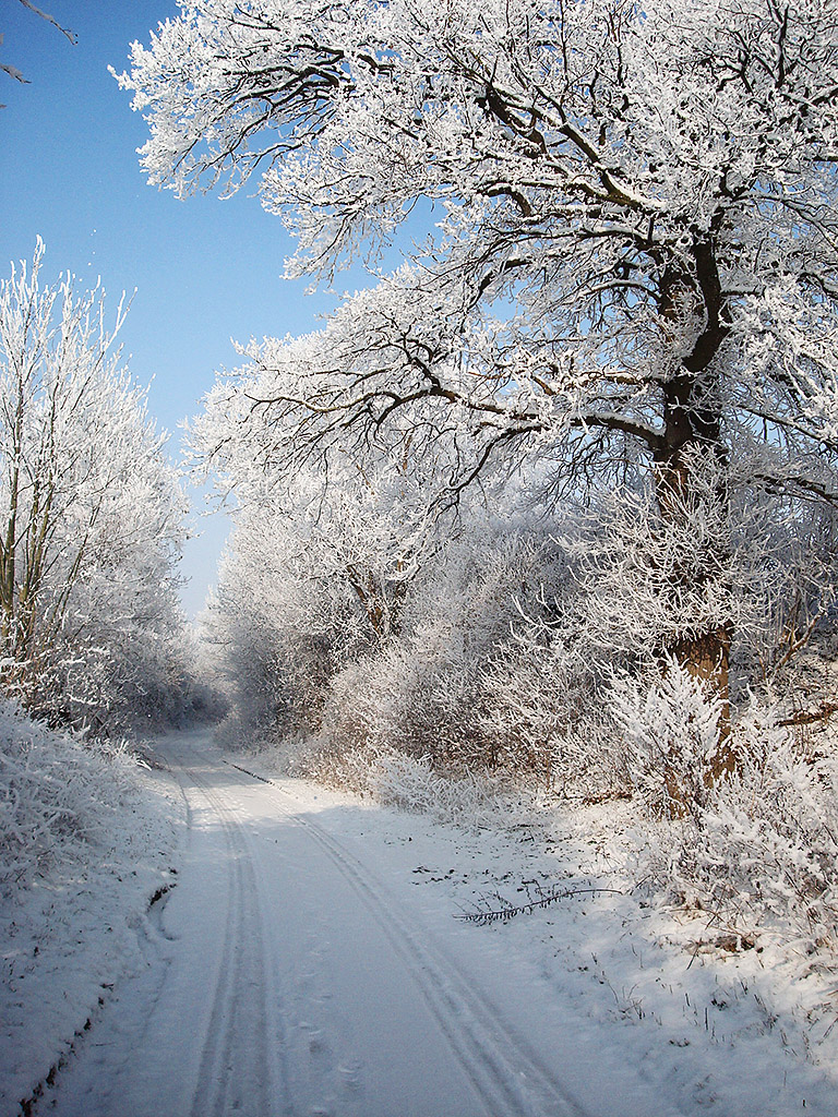 Winter1