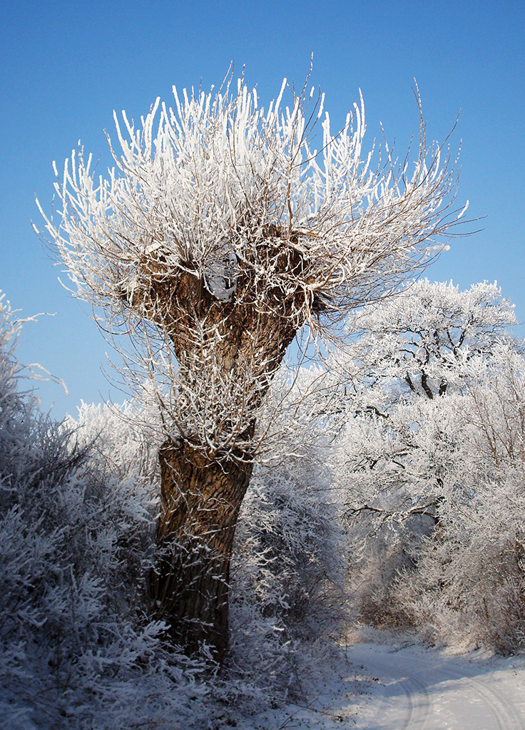 Winter2